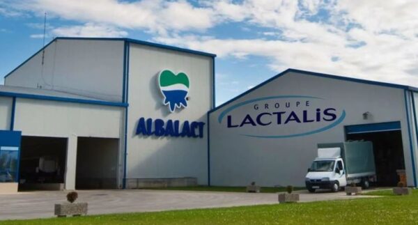 Аналитик маркетинга и менеджер по продажам в Lactalis
